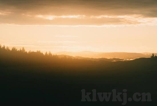 精品日韩成人av-探索日韩成人AV的多元文化视角与艺术表达