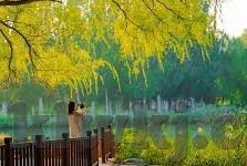 视觉吧果冻传媒-视觉盛宴，探索果冻传媒的独特魅力