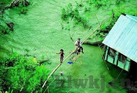 糖心vlog会员兑换码12位-糖心vlog会员畅享之旅，揭秘12位兑换码的魅力与价值